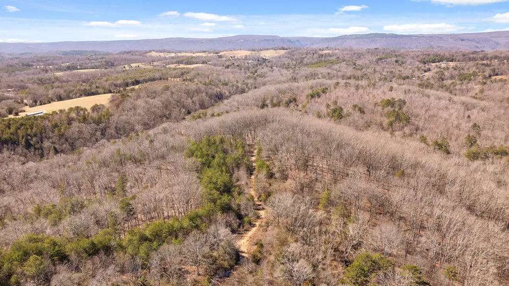 Andy Thomas Rd Road Dayton, TN 37321