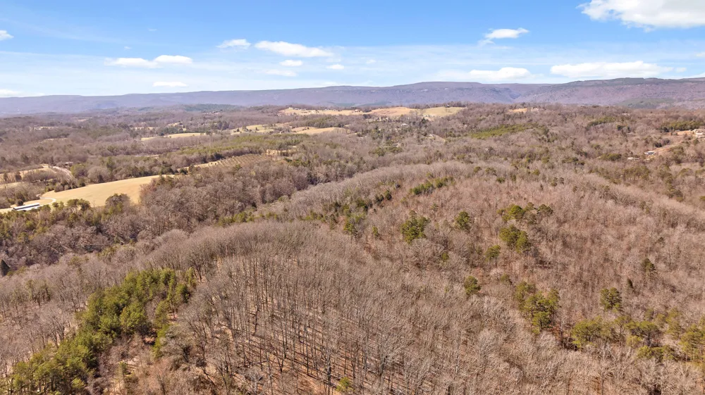 Andy Thomas Rd Road Dayton, TN 37321
