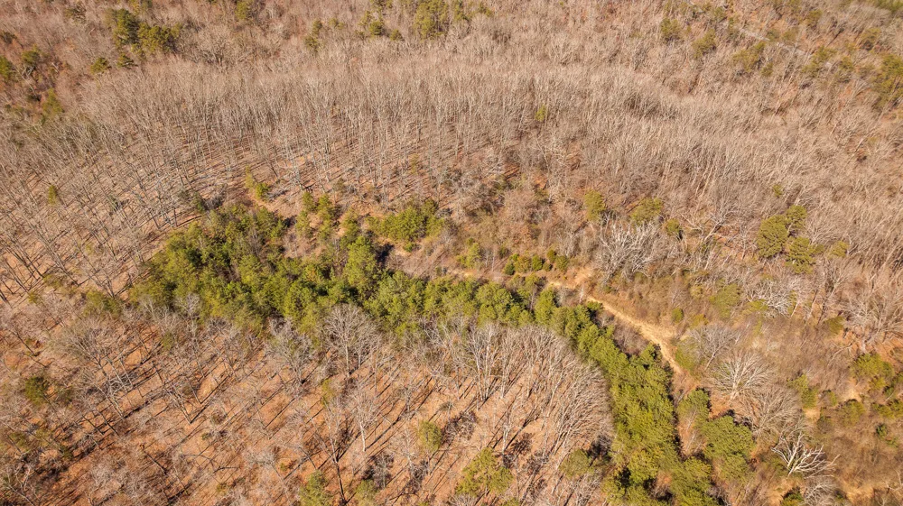 Andy Thomas Rd Road Dayton, TN 37321