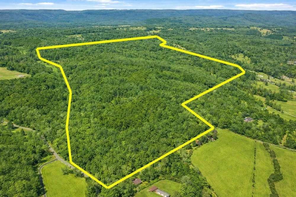 Andy Thomas Rd Road Dayton, TN 37321