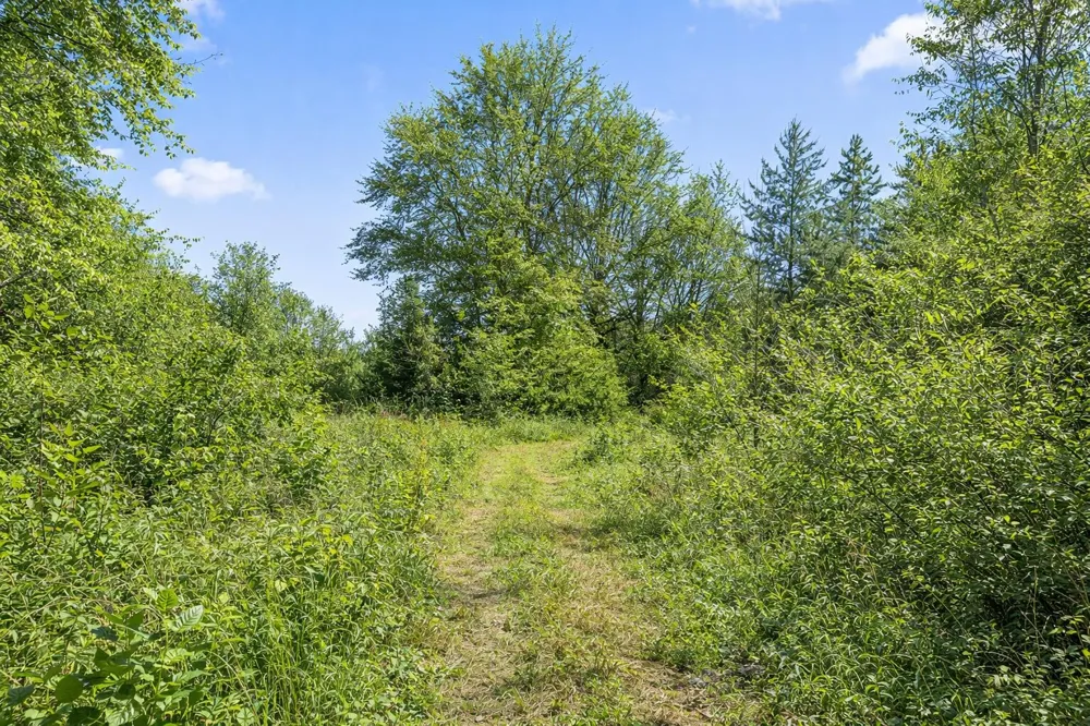Andy Thomas Rd Road Dayton, TN 37321
