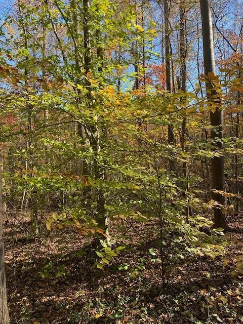 Hwy 411 Chatsworth, GA 30705