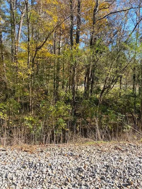 Hwy 411 Chatsworth, GA 30705