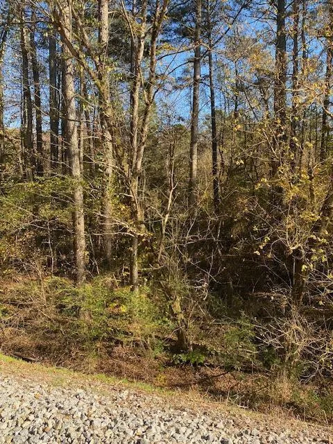 Hwy 411