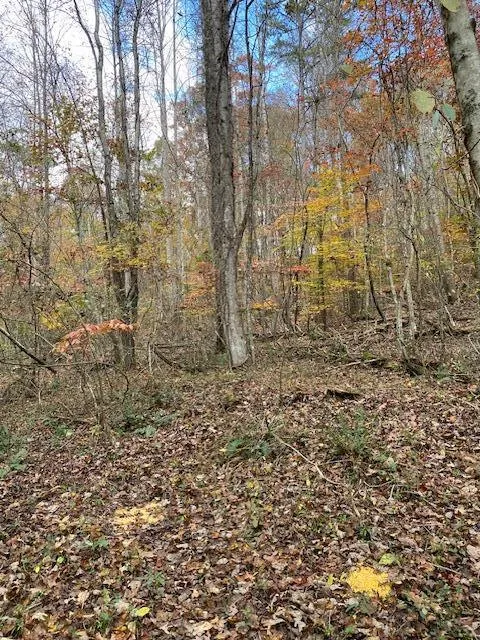 Hwy 411 Chatsworth, GA 30705