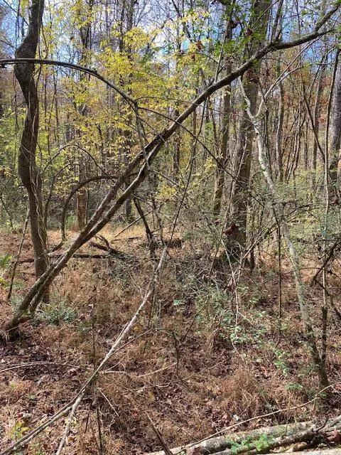 Hwy 411 Chatsworth, GA 30705