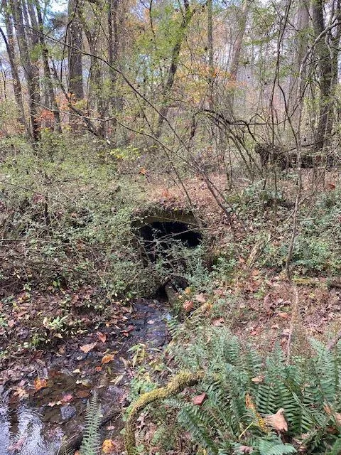 Hwy 411 Chatsworth, GA 30705