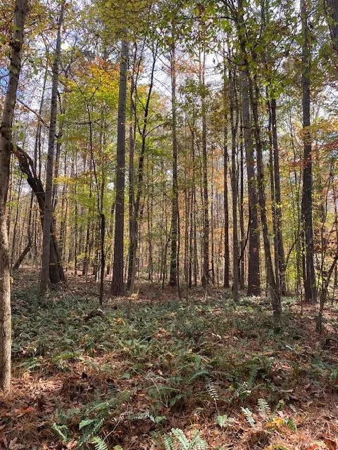 Hwy 411 Chatsworth, GA 30705