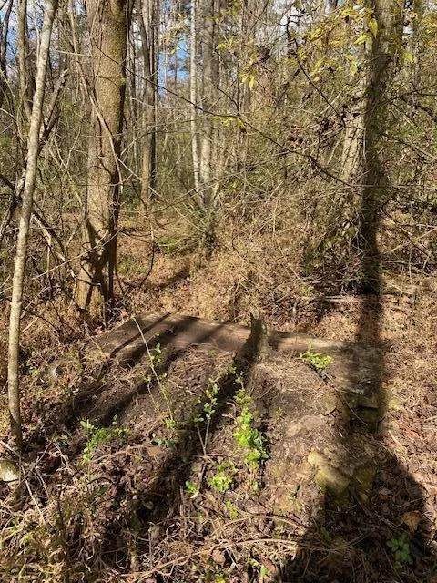 Hwy 411 Chatsworth, GA 30705