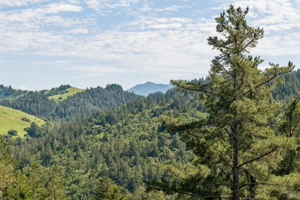 40 El Mirador Drive Nicasio, CA 94946