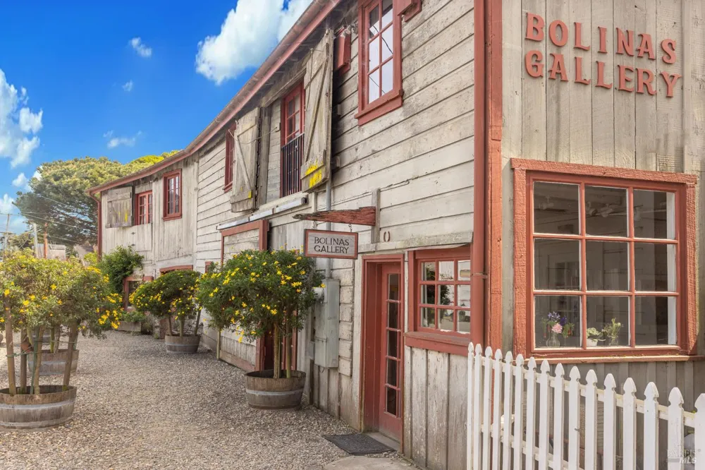 99 Brighton Avenue Bolinas, CA 94924