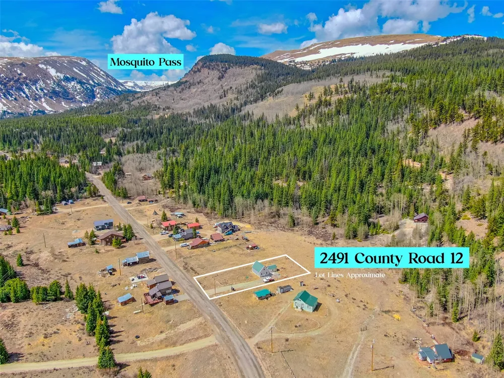 2491 Cr-12 Alma, CO 80420