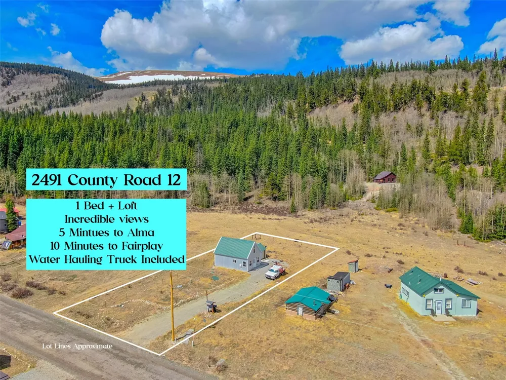 2491 Cr-12 Alma, CO 80420