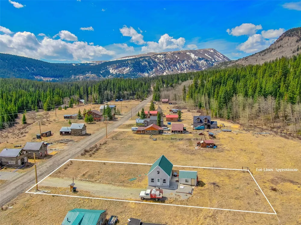 2491 Cr-12 Alma, CO 80420