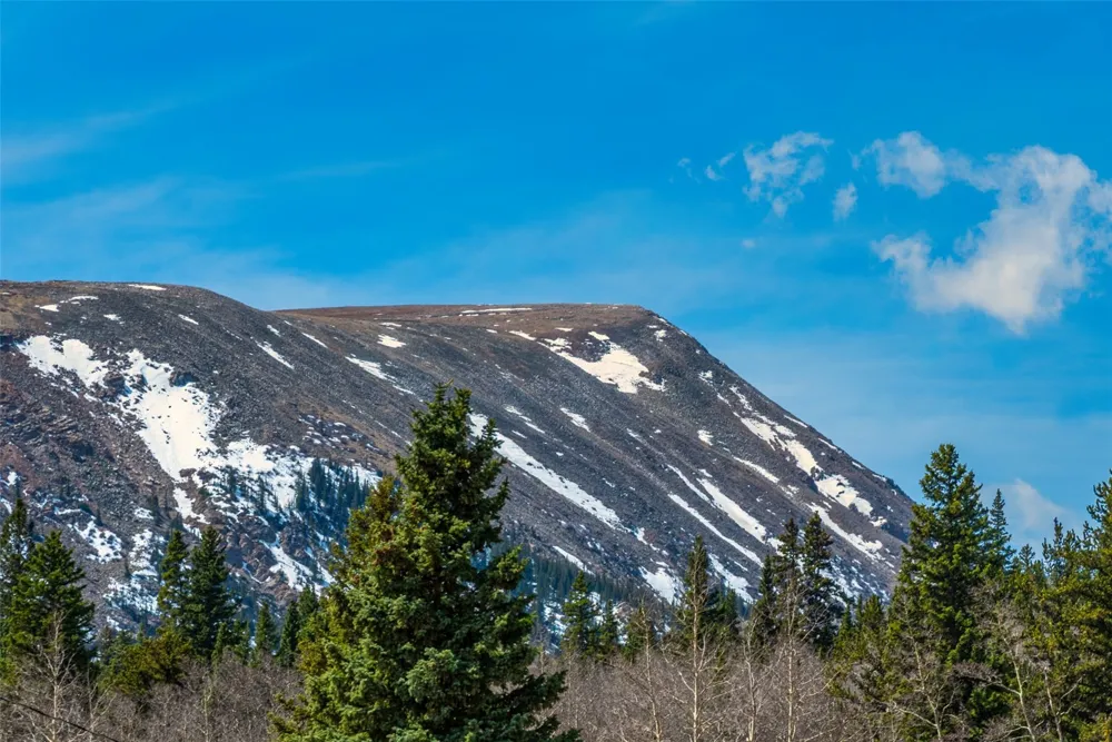 2491 Cr-12 Alma, CO 80420