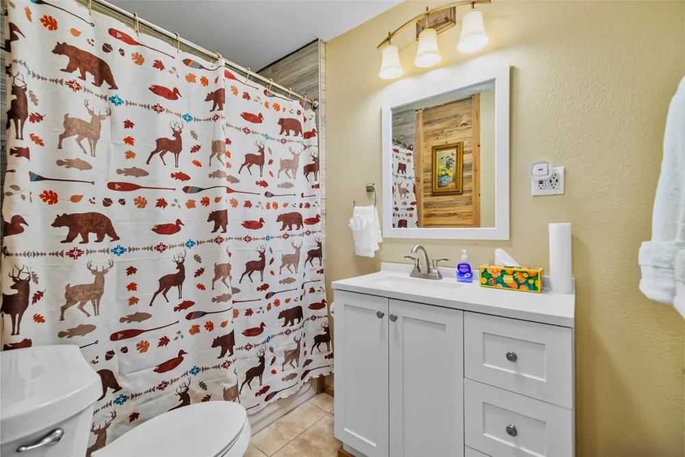 2491 Cr-12 Alma, CO 80420