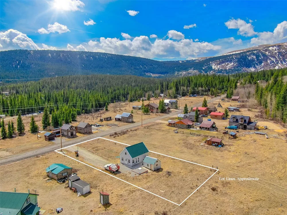 2491 Cr-12 Alma, CO 80420