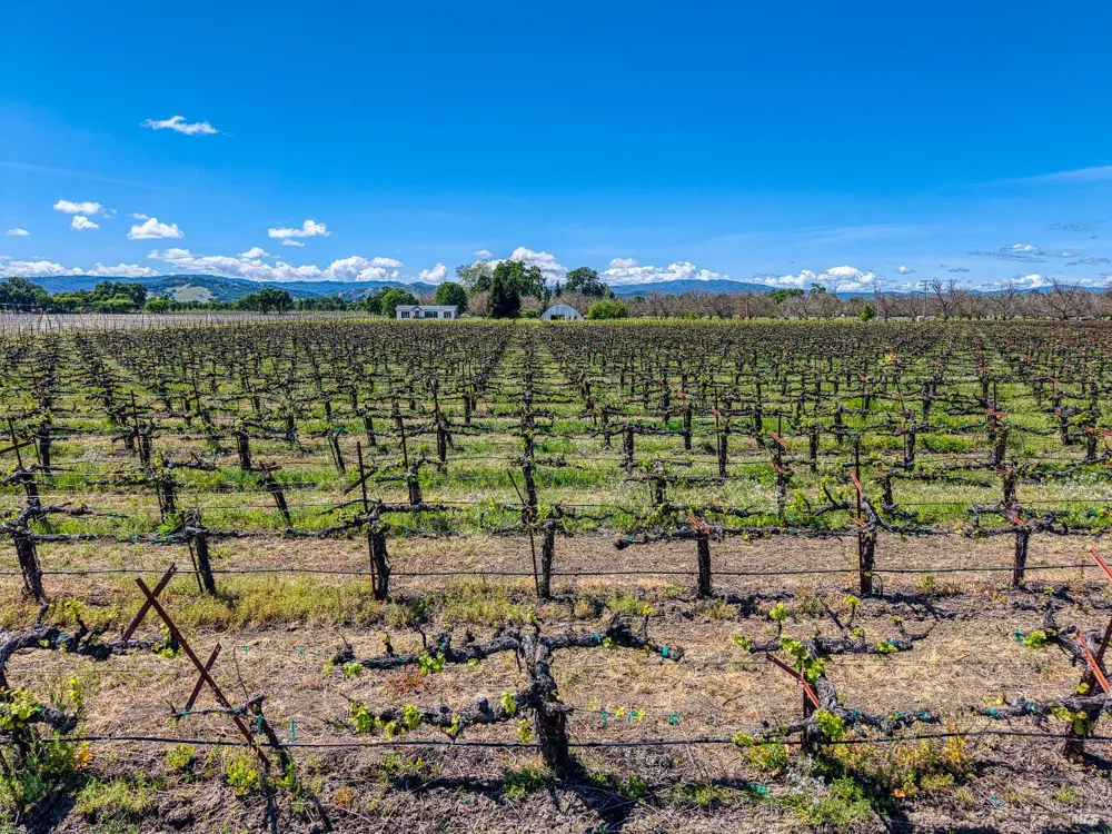 2195 Stone Drive Lakeport, CA 95453