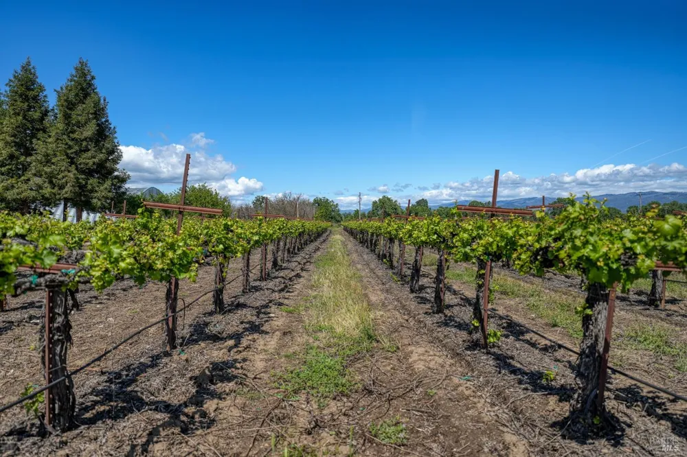 2195 Stone Drive Lakeport, CA 95453