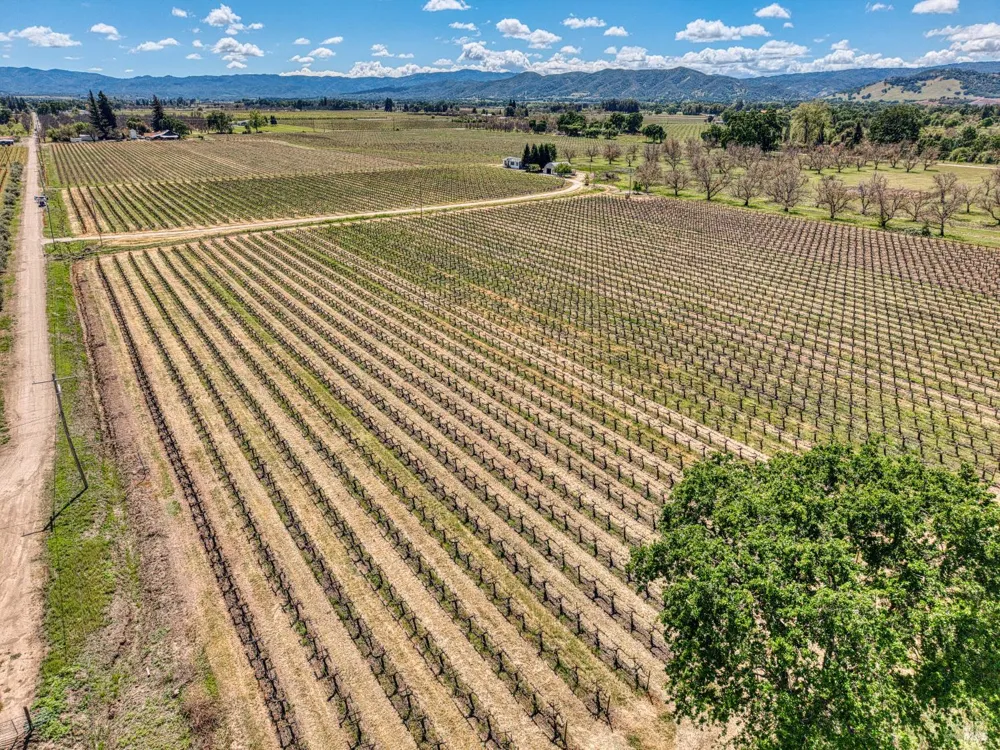 2195 Stone Drive Lakeport, CA 95453