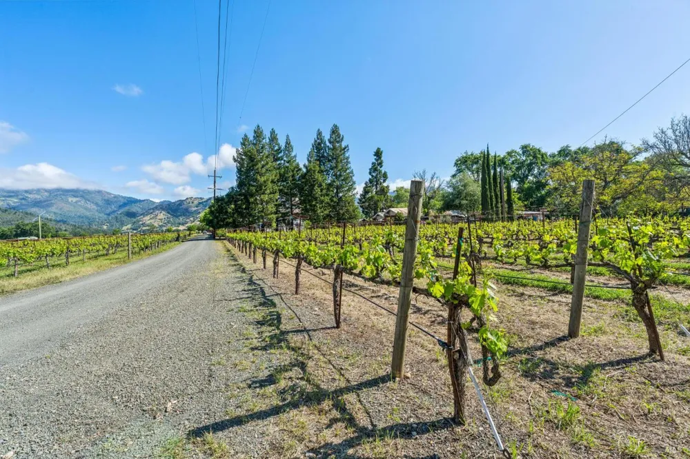 3260 State Highway 128 Calistoga, CA 94515