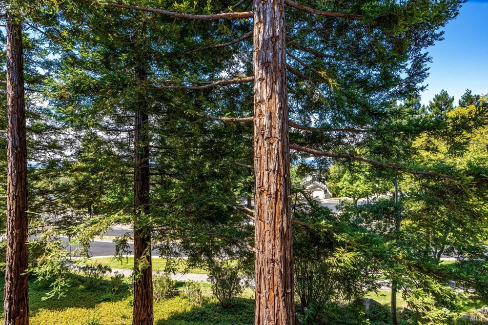 2008 Stonefield Lane Santa Rosa, CA 95403