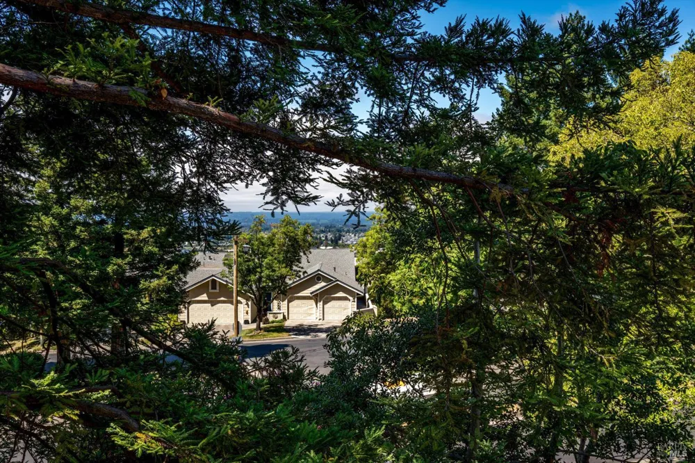 2008 Stonefield Lane Santa Rosa, CA 95403