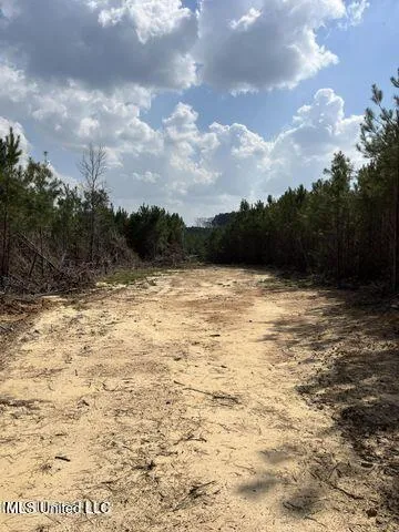 0 Honeysucker Road
