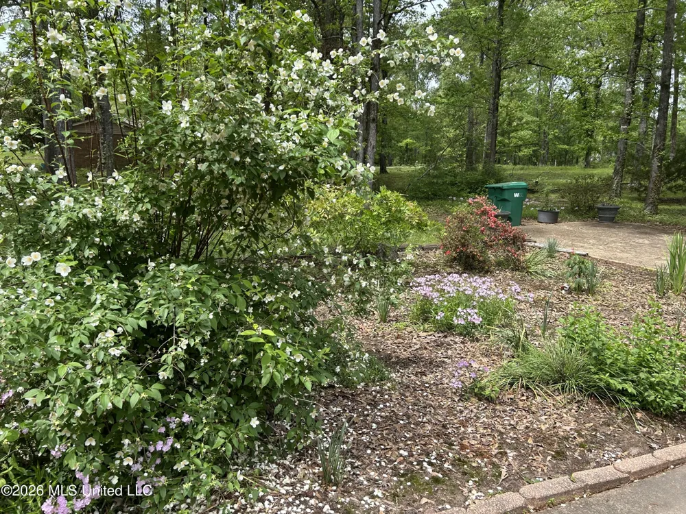 4503 Pine Lake Drive Terry, MS 39170