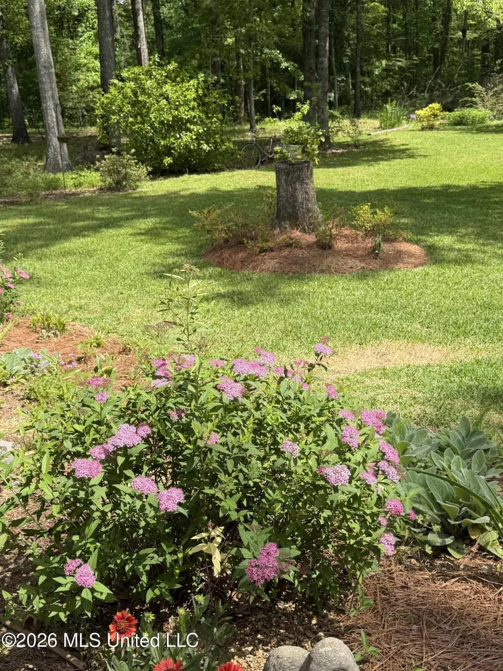 4503 Pine Lake Drive Terry, MS 39170