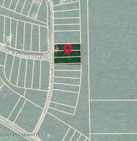 Timber Bluff Drive