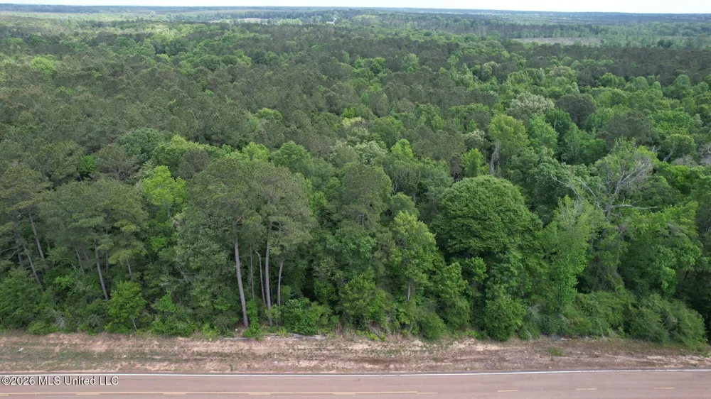 2538 Us-98 Smithdale, MS 39664