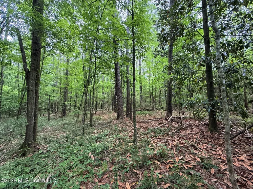 2538 Us-98 Smithdale, MS 39664
