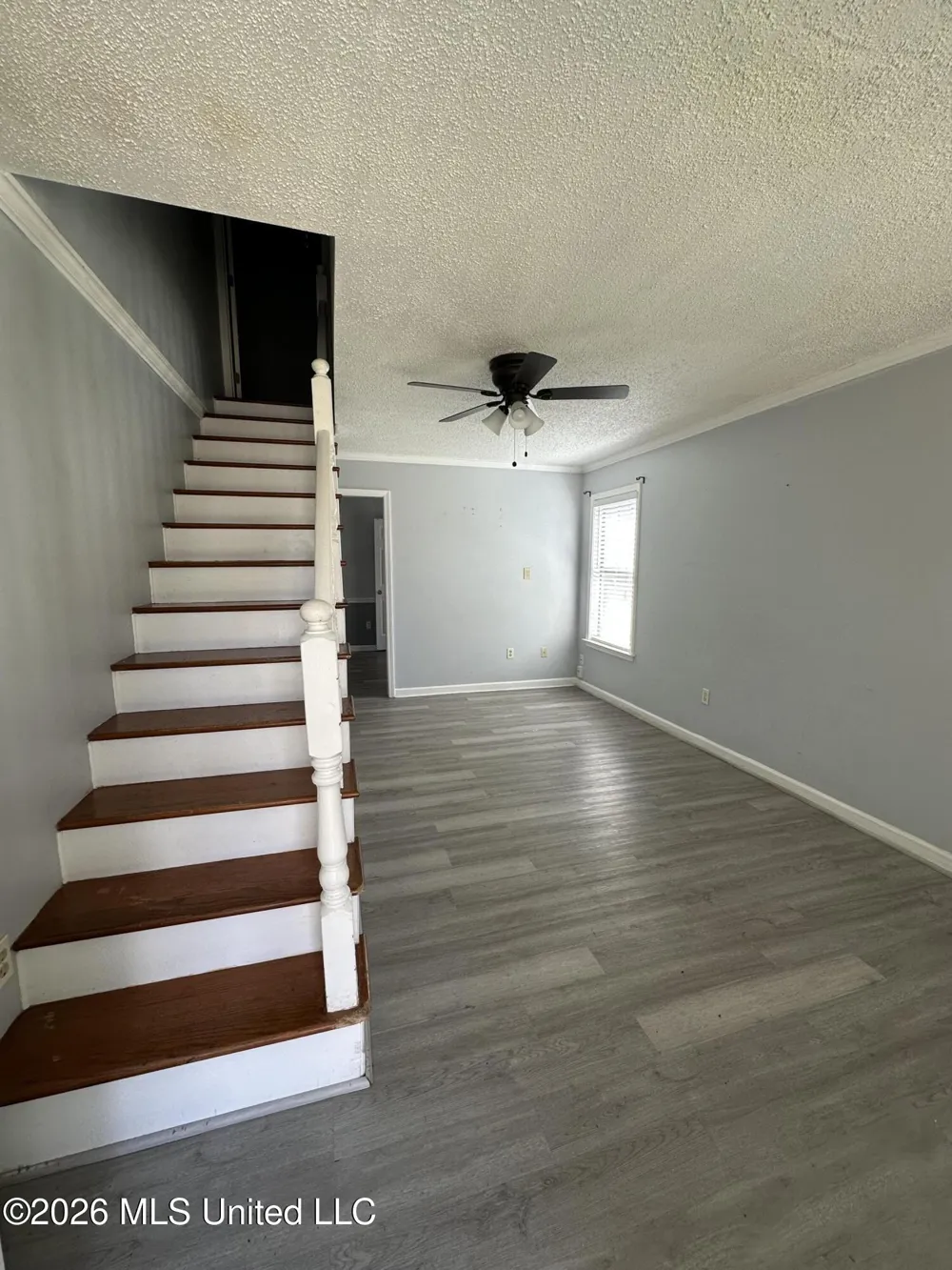 3245 Edenshire Lane Horn Lake, MS 38637