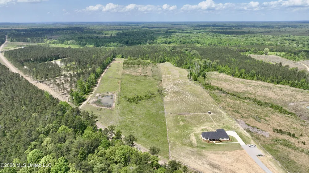 0010 Coal Bluff Road Lena, MS 39094