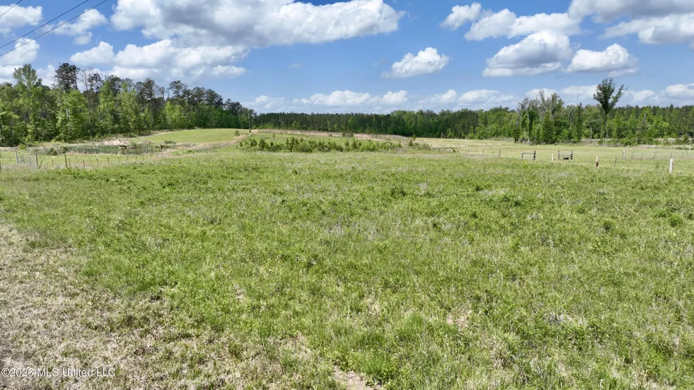 0010 Coal Bluff Road Lena, MS 39094