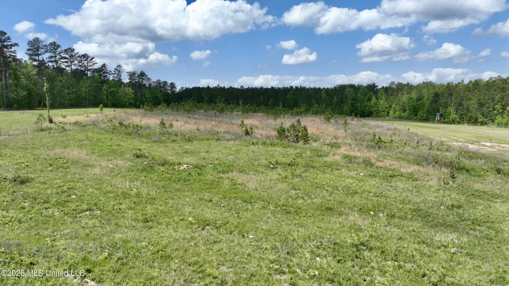 0010 Coal Bluff Road Lena, MS 39094