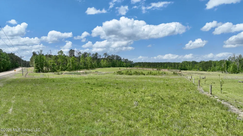 0010 Coal Bluff Road Lena, MS 39094