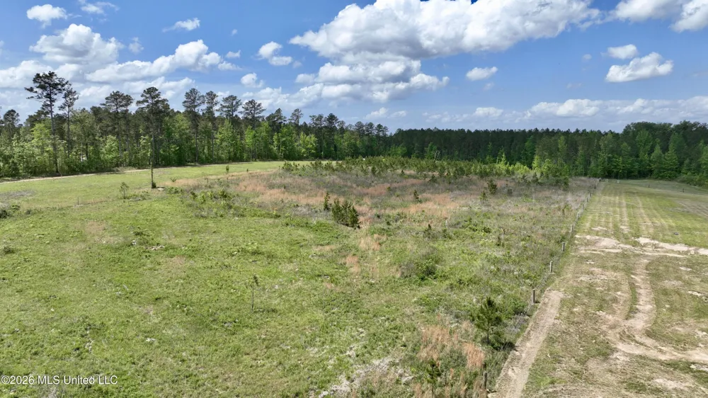 0010 Coal Bluff Road Lena, MS 39094