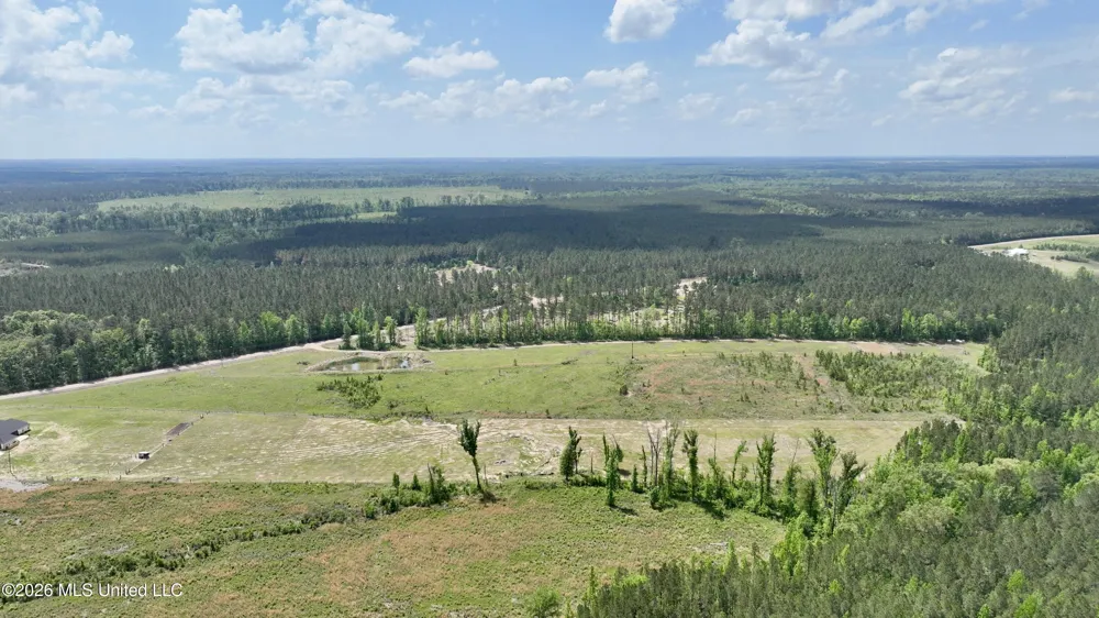 0010 Coal Bluff Road Lena, MS 39094