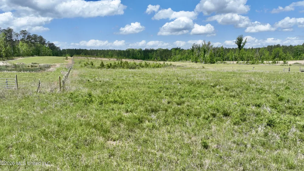 0010 Coal Bluff Road Lena, MS 39094