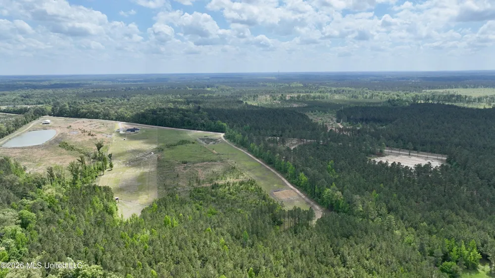 0010 Coal Bluff Road Lena, MS 39094