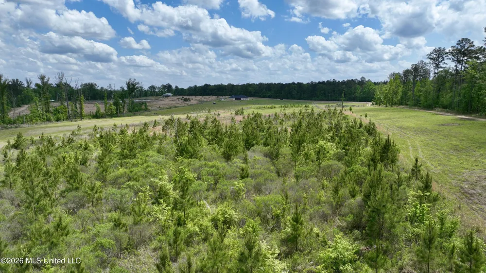 0010 Coal Bluff Road Lena, MS 39094