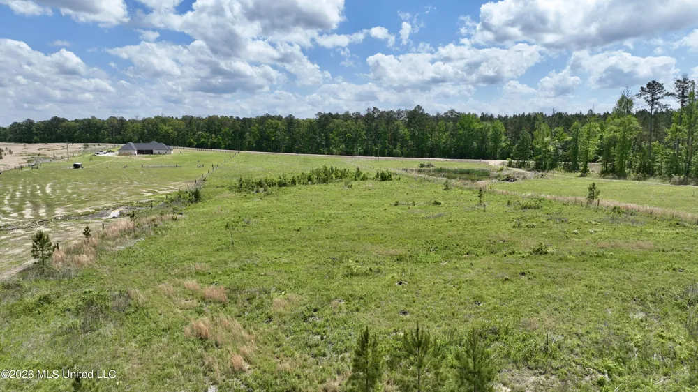 0010 Coal Bluff Road Lena, MS 39094