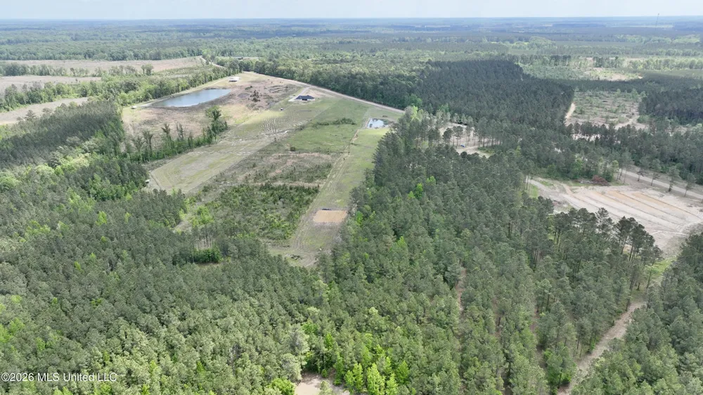 0010 Coal Bluff Road Lena, MS 39094
