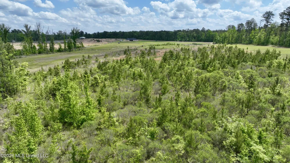 0010 Coal Bluff Road Lena, MS 39094