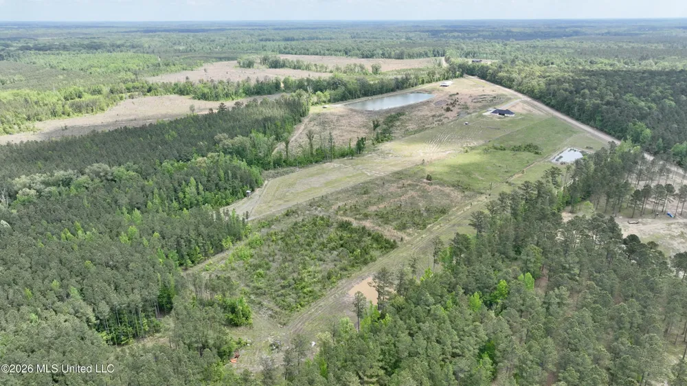 0010 Coal Bluff Road Lena, MS 39094