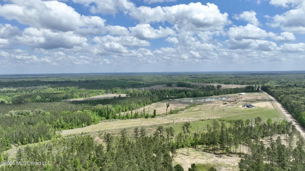 0010 Coal Bluff Road Lena, MS 39094