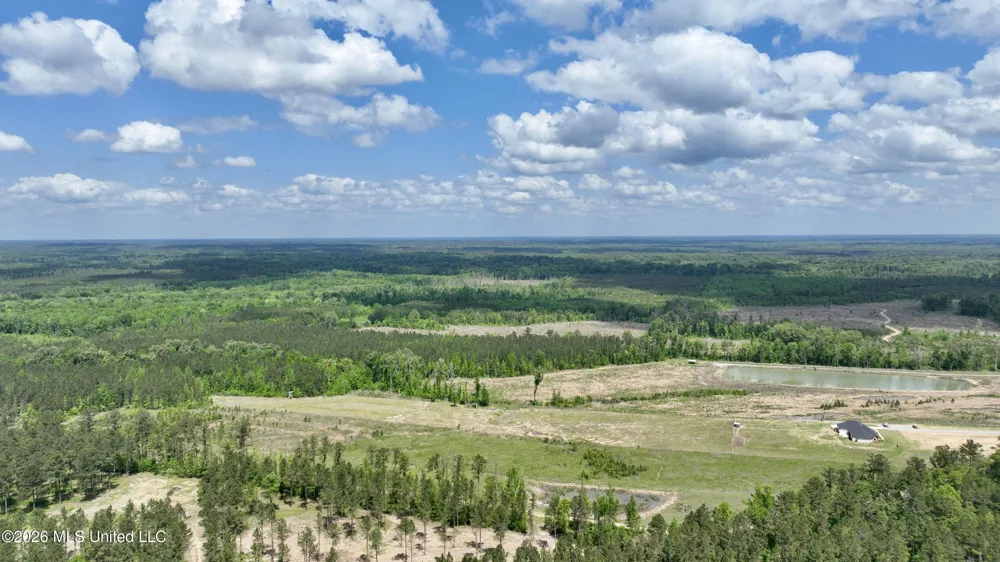 0010 Coal Bluff Road Lena, MS 39094