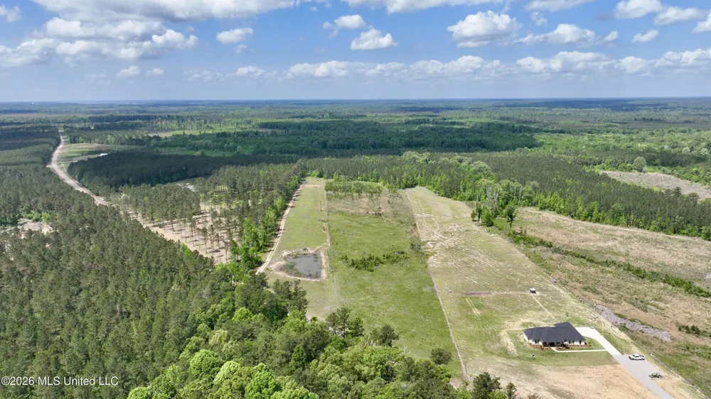 0010 Coal Bluff Road Lena, MS 39094